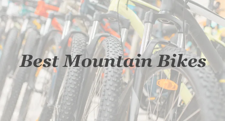 Best Mountain Bike Brands Img.webp