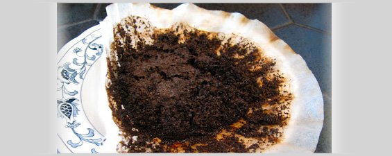 Coffee Filter Filled Up With Left Over Wet Coffee Grounds.
