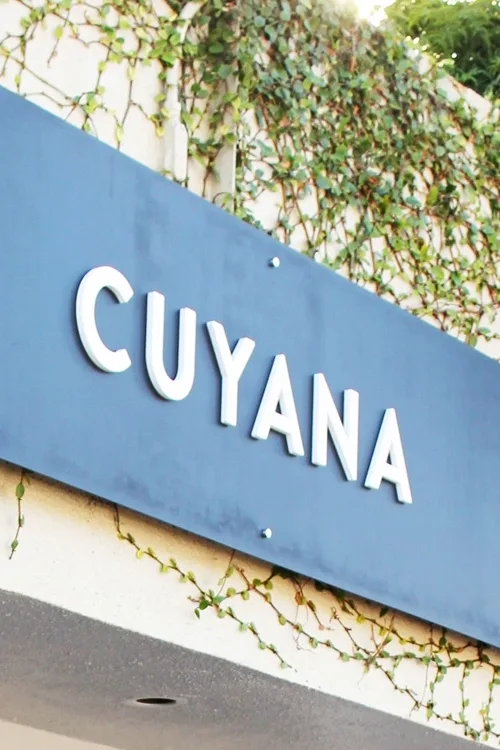 Handbags and Totes Brands Like Cuyana in the United States