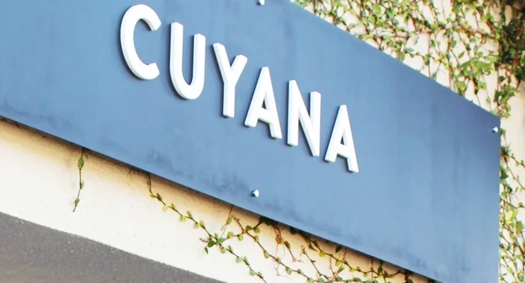 Designer Brands Like Cuyana to Find Better Deals on Similar Bags and Totes