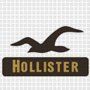 Hollister Low Priced Casual Clothing Stores