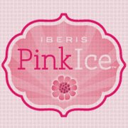 Pink Ice : #10 on Stores Like Free People