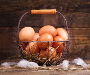 Eggs To Make Protein Rich Breakfast for Weight Loss Success