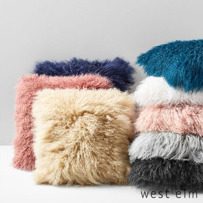 West Elm Decorative Pillows