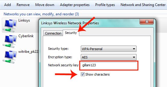 Wifi Network Properties Shows The Password